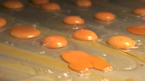 The fresh egg yolk is ready for processing Stock Footage 135799550