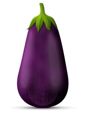 Fresh eggplant fruit close up Stock Illustration