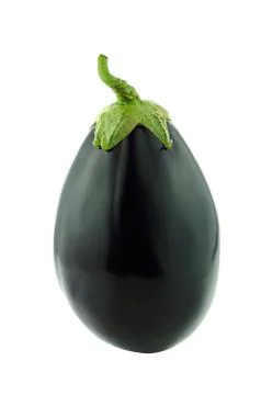 Fresh eggplant Stock Photos