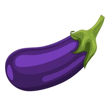 Fresh Eggplant vegetable Illustrazione stock