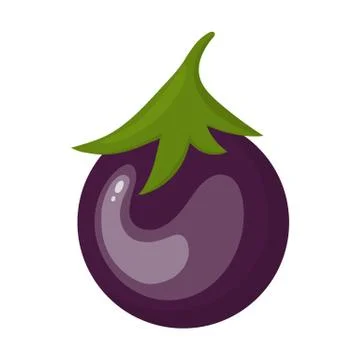 Fresh Eggplant Vegetable isolated on white background. Vector illustration. Stock Illustration