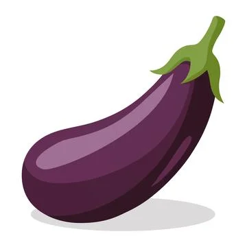 Fresh Eggplant Vegetable Isolated on White Background Flat Stock Illustration