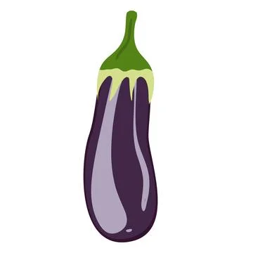 Fresh eggplant vegetable, vector flat design Stock Illustration