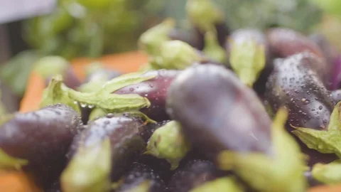 Fresh eggplants in crate Stock Footage 87804040