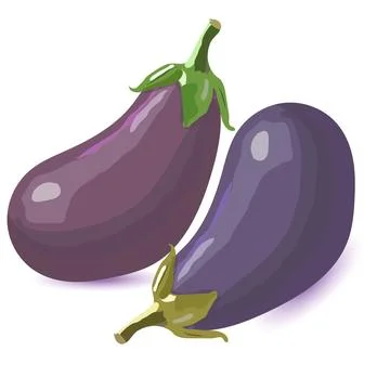 Fresh eggplants vector composition, two ripe aubergines with drop shadows Ilustración de archivo