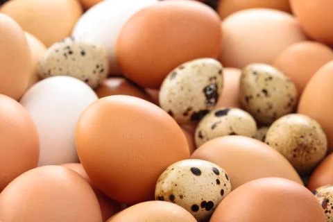 Fresh eggs background. Stock Photos