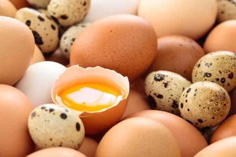 Fresh eggs background. Stock Photos