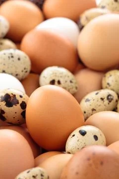 Fresh eggs background. Stock Photos