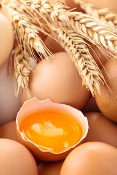 Fresh eggs background. Stock Photos