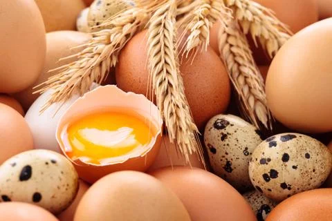 Fresh eggs background. Stock Photos