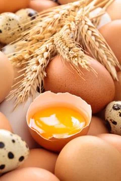 Fresh eggs background. Stock Photos