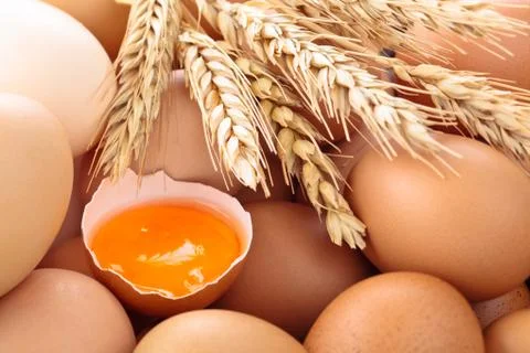 Fresh eggs background. Stock Photos