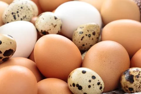 Fresh eggs background. Stock Photos