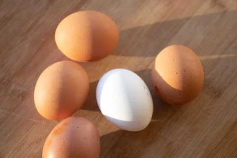 Fresh eggs. Chicken eggs on the table. White chicken egg among the yellow one Stock Photos