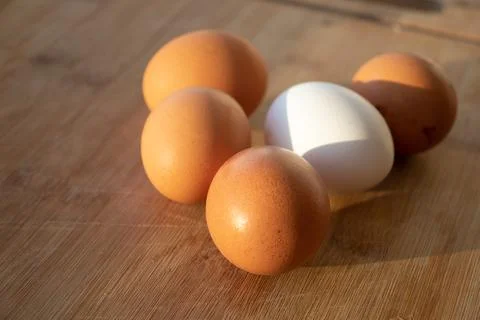 Fresh eggs. Chicken eggs on the table. White chicken egg among the yellow one Stock Photos