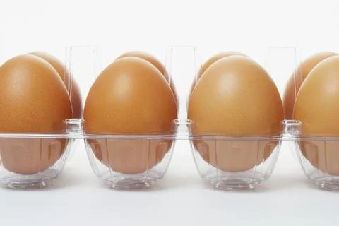 Fresh eggs in clear plastic tray Stock Photos