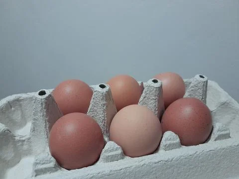 Fresh eggs in a egg box. Brown eggs with blank space Stock Photos