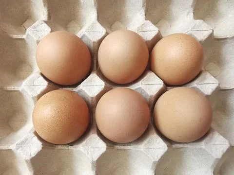 Fresh eggs in the egg stall. Egg tray or Egg panel Stock Photos