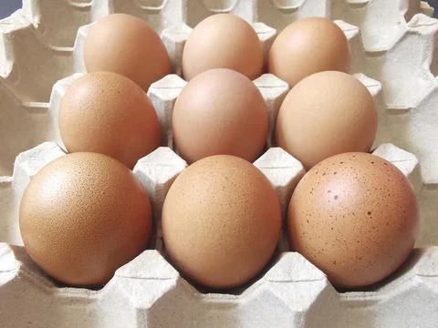 Fresh eggs in the egg stall. Egg tray or Egg panel Stock Photos