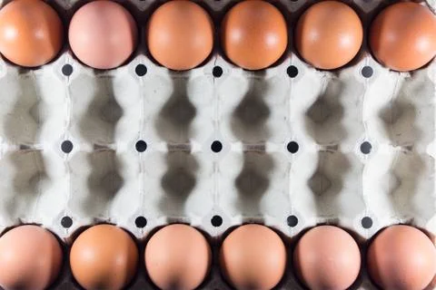 Fresh eggs from the farm in the panel white paper. Stock Photos