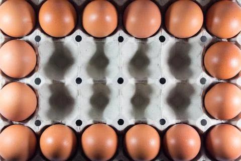 Fresh eggs from the farm in the panel white paper. Foto stock