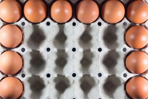 Fresh eggs from the farm in the panel white paper. Foto stock