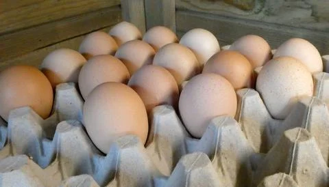 Fresh eggs at the farmer Stock Photos