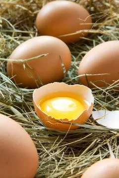 Fresh eggs in grass Stock Photos