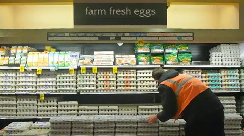 Fresh Eggs at Grocery Store Stock Footage 19044910