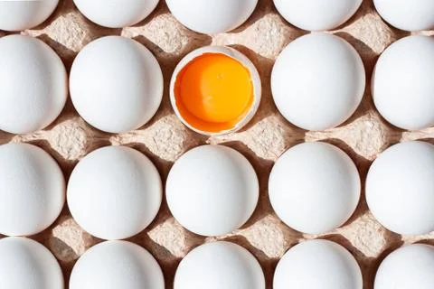 Fresh eggs isolated. White eggs in tray Stock Photos