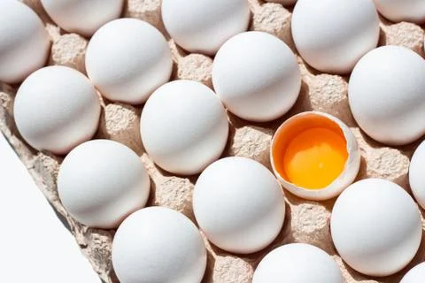 Fresh eggs isolated. White eggs in tray Stock Photos