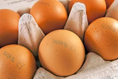Fresh eggs with marking "halal" Stock Photos