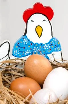 Fresh eggs on  net Stock Photos