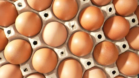 Fresh eggs in paper trays. Stock Footage 246594865
