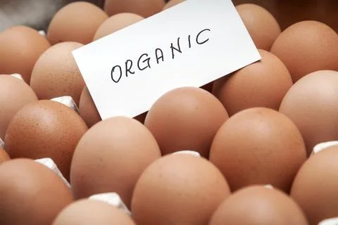 Fresh eggs Foto stock