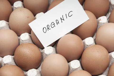 Fresh eggs Foto stock