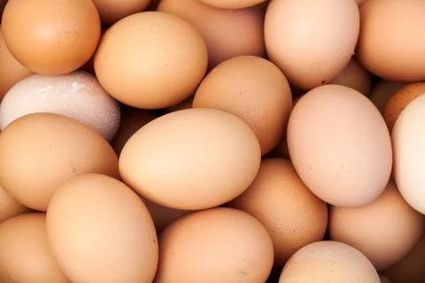 Fresh eggs Stock Photos