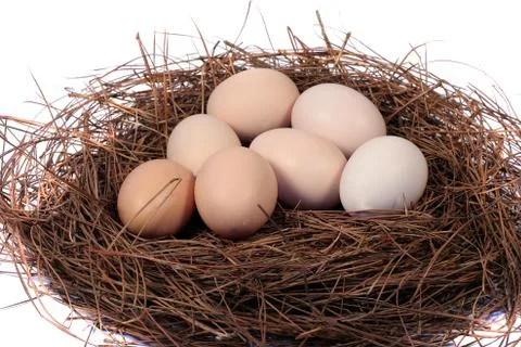 Fresh Eggs Stock Photos