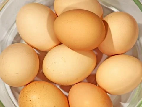 Fresh eggs. Stock Photos
