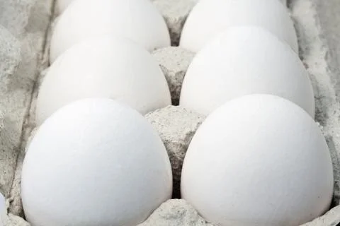 Fresh eggs Stock Photos