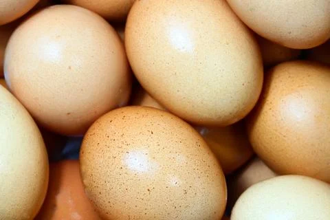 Fresh eggs Stock Photos