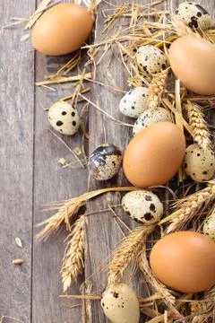 Fresh  eggs. Stock Photos