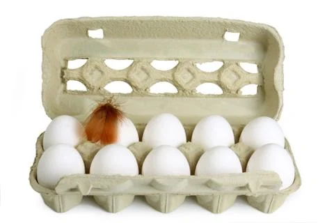 Fresh Eggs Stock Photos