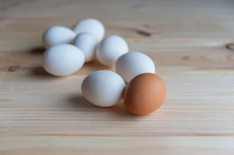 Fresh eggs Stock Photos