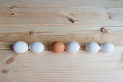 Fresh eggs Stock Photos