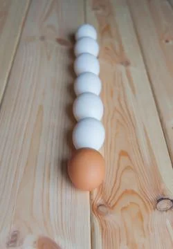 Fresh eggs Stock Photos