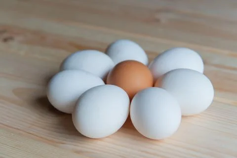 Fresh eggs Stock Photos