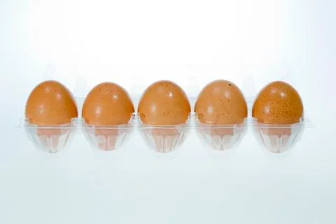 Fresh eggs Stock Photos