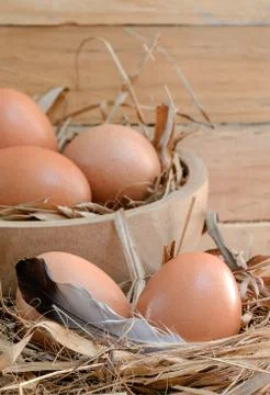 Fresh eggs Stock Photos