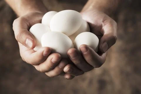 Fresh eggs Foto stock